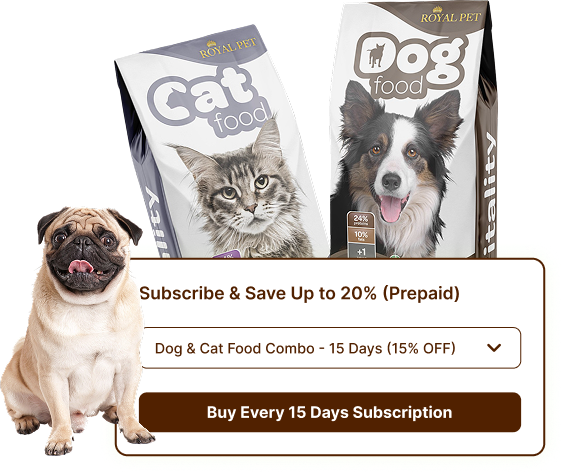 Rekitr Subscription